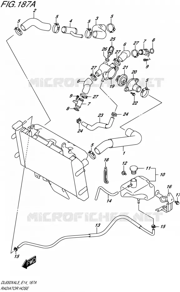 DURITE DE RADIATEUR Suzuki MOTO 650 V-STROM 2015  DL650XA L5 (E14)