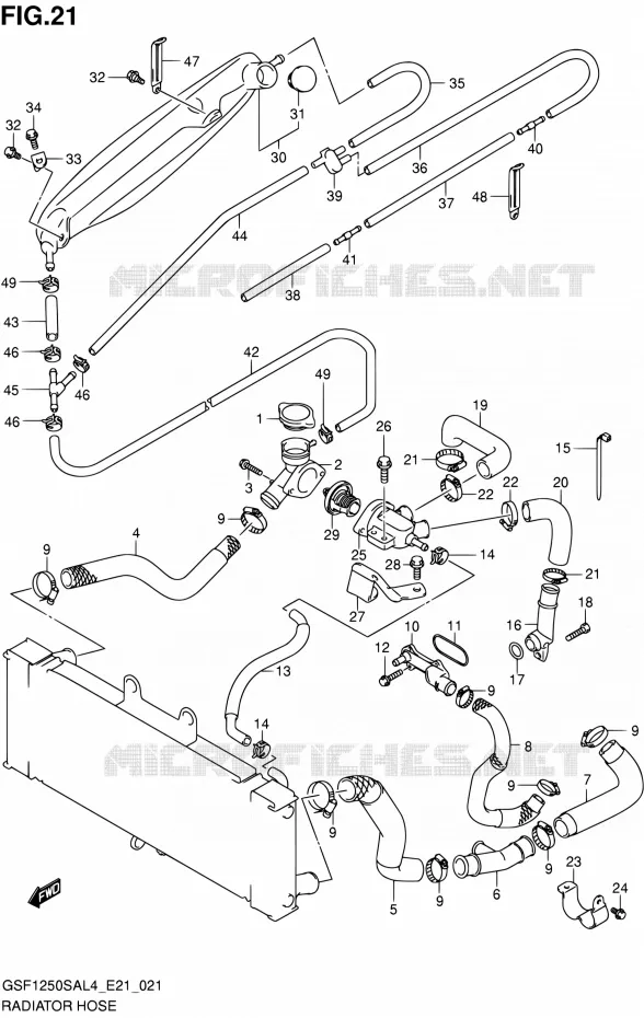 DURITE DE RADIATEUR Suzuki MOTO 1250 BANDIT 2014  GSF1250SA L4 (E21)