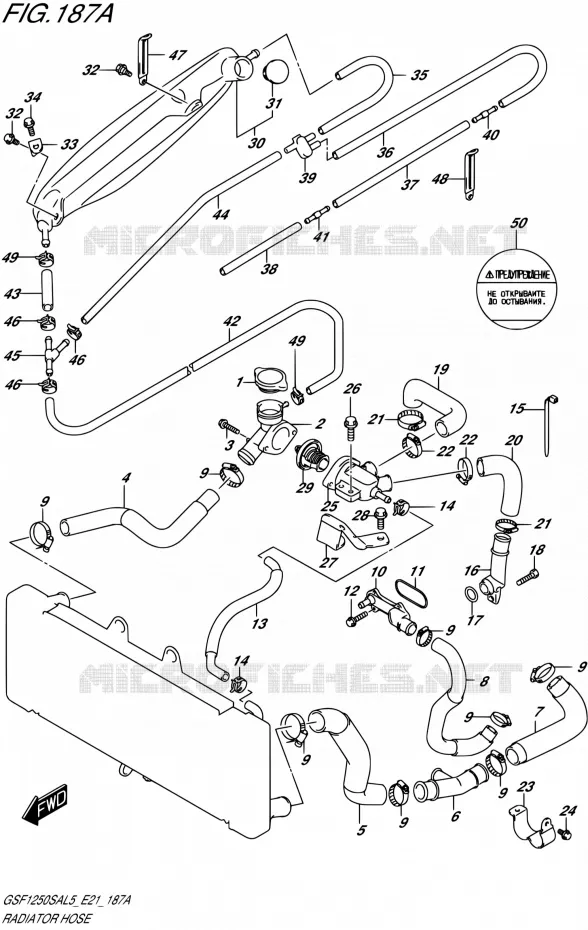 DURITE DE RADIATEUR Suzuki MOTO 1250 BANDIT 2015  GSF1250SA L5 (E21)