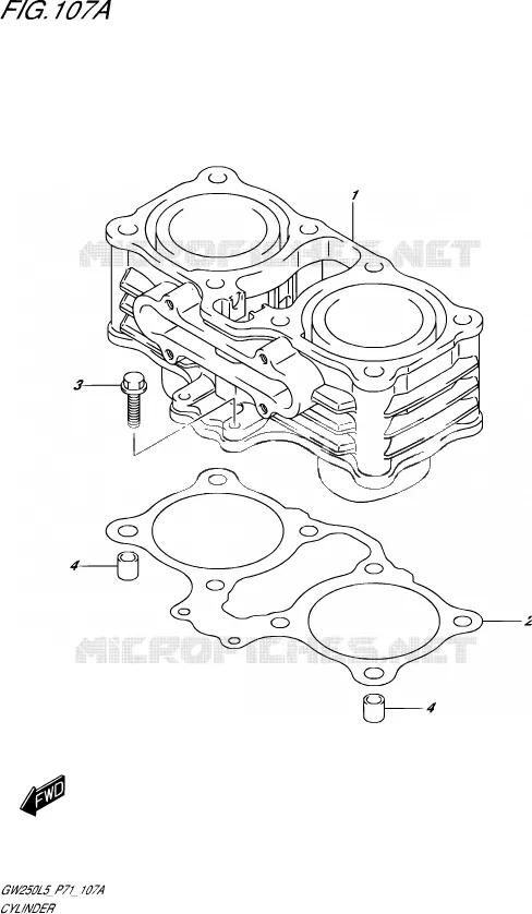 CYLINDRE Suzuki MOTO 250 INAZUMA 2015  GW250 L5 (P71)