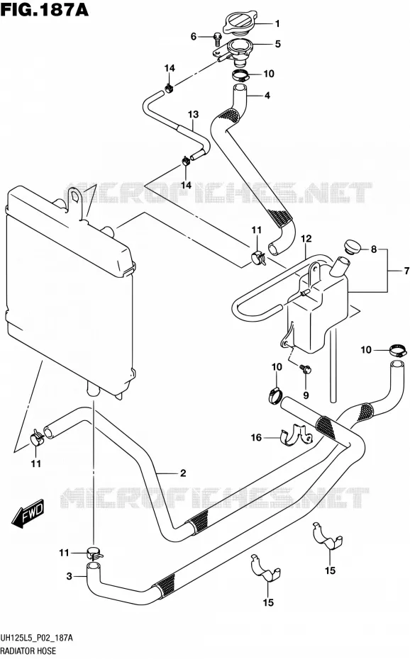 DURITE DE RADIATEUR Suzuki SCOOTER 125 BURGMAN 2015  UH125A L5 (P19)