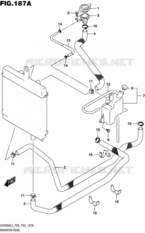 DURITE DE RADIATEUR Suzuki SCOOTER 200 BURGMAN 2015  UH200A L5 (P28,P33)