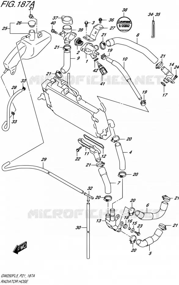 DURITE DE RADIATEUR Suzuki MOTO 250 INAZUMA 2015  GW250F L5 (P21)
