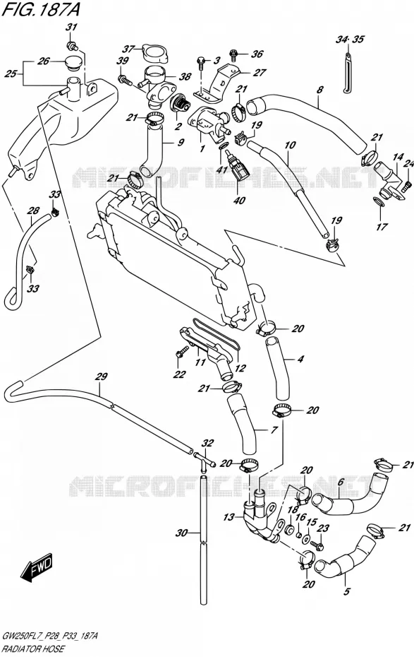 DURITE DE RADIATEUR Suzuki MOTO 250 INAZUMA 2017  GW250F L7 (P28,P33)
