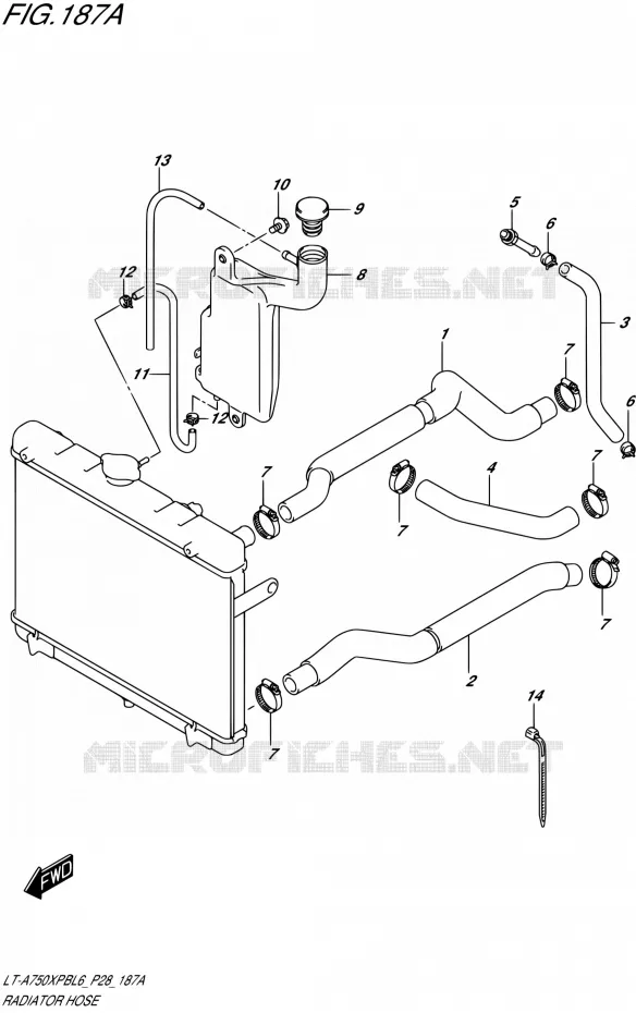 DURITE DE RADIATEUR Suzuki QUAD 750 KINGQUAD 2016  LT-A750XPB L6 (P28,P33)