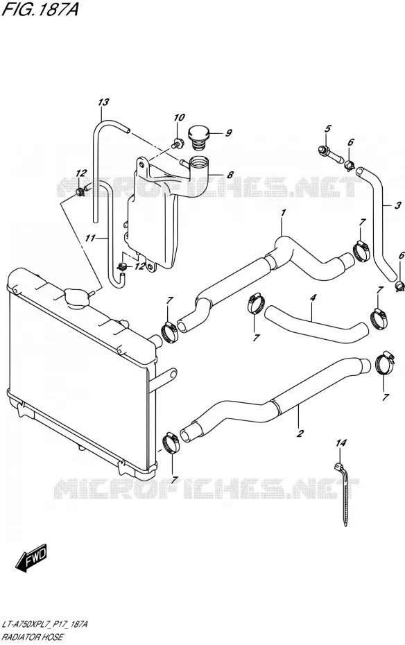 DURITE DE RADIATEUR Suzuki QUAD 750 KINGQUAD 2017  LT-A750XP L7 (P17)
