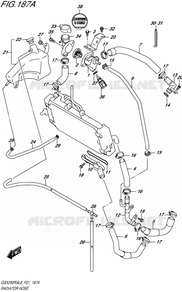 DURITE DE RADIATEUR Suzuki MOTO 250 GSX-R 2018  GSX250RA L8/GSX250RZA L8 P21