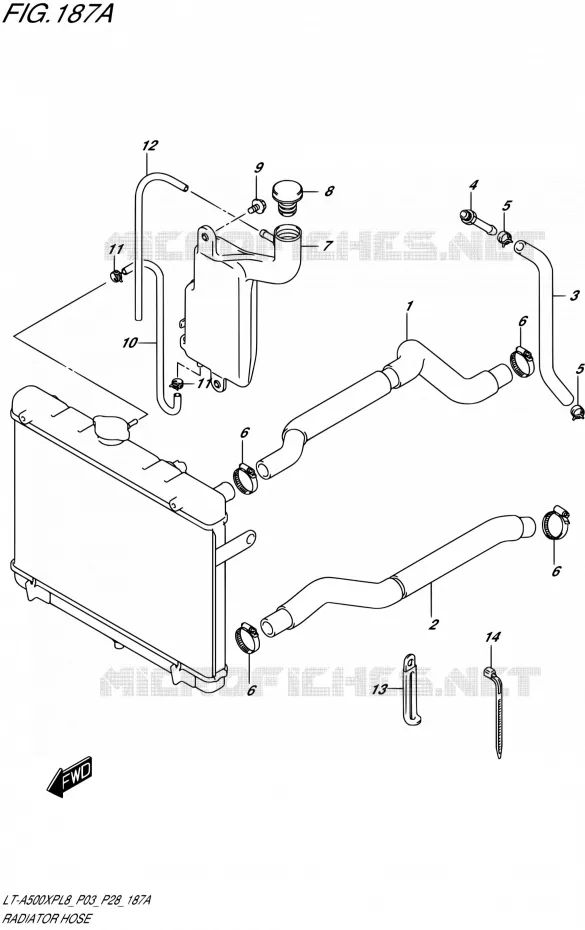 DURITE DE RADIATEUR Suzuki QUAD 500 KINGQUAD 2018  LT-A500XP L8 (P03)