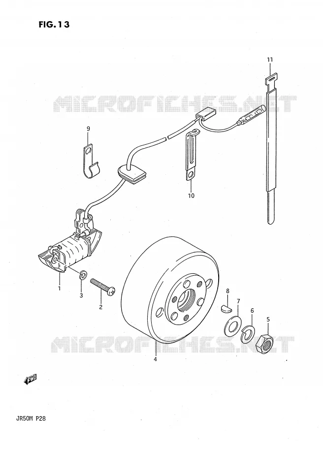 ALLUMAGE ROTOR - STATOR Suzuki MOTO 50 JR 1985  JR50F(P28)