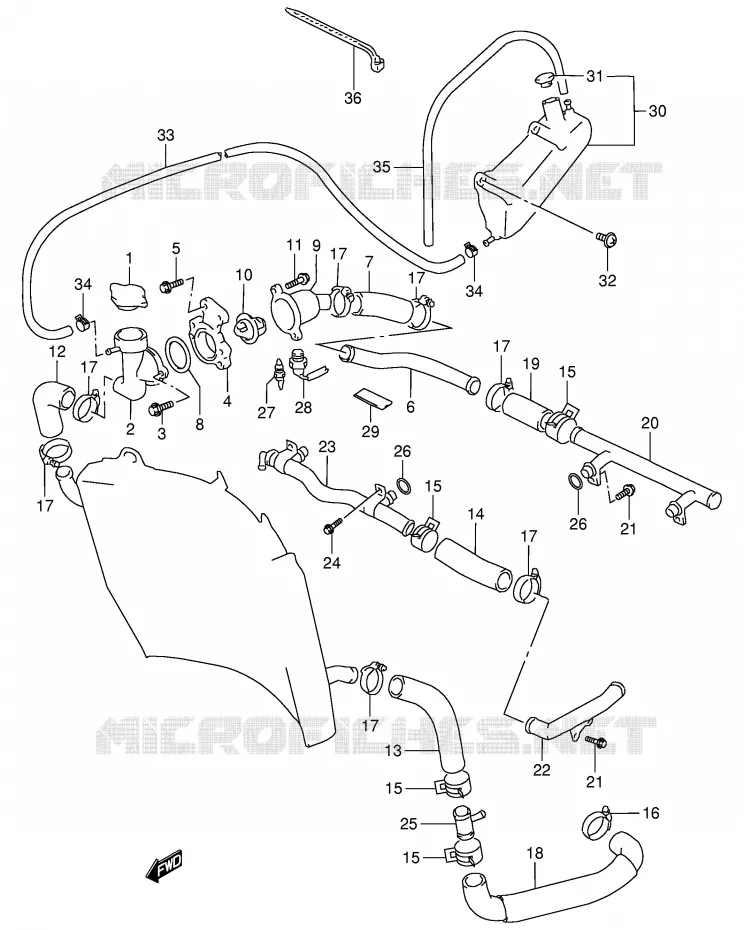 DURITE DE RADIATEUR Suzuki MOTO 900 RF 1998  RF900RW(E2)
