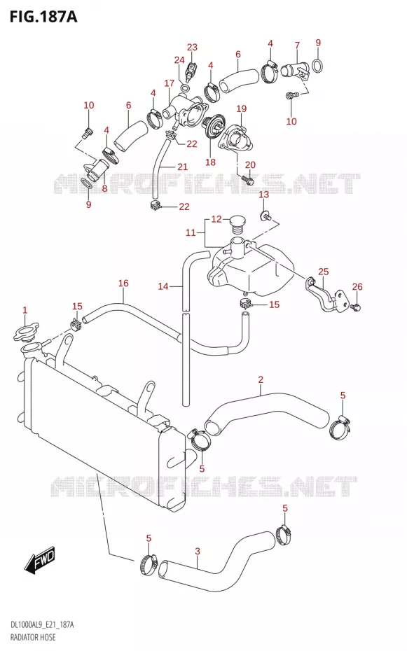 DURITES DE RADIATEUR - VASE D'EXPANSION Suzuki MOTO 1000 V-STROM 2019  DL1000A L9 (E21)