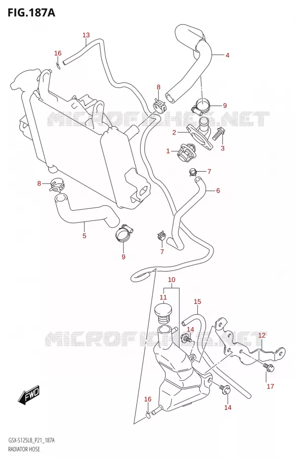DURITES DE RADIATEUR - VASE D'EXPANSION Suzuki MOTO 125 GSX-S 2018  GSX-S125ML L8 (P21)