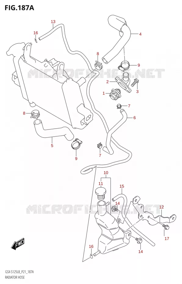 DURITES DE RADIATEUR - VASE D'EXPANSION Suzuki MOTO 125 GSX-S 2018  GSX-S125MLX L8 (P21)