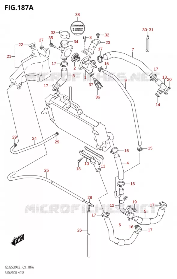 DURITES DE RADIATEUR - VASE D'EXPANSION Suzuki MOTO 250 INAZUMA 2018  GW250RAZ L8 (P21)