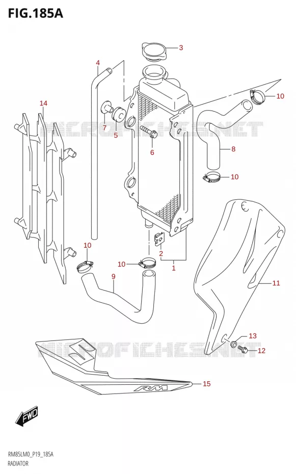 RADIATEUR Suzuki MOTO 85 RM 2020  RM85L M0 (P19)