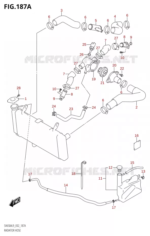 DURITE DE RADIATEUR50AL9 E02) Suzuki MOTO 650 SV 2019  SV650A L9 (E02)