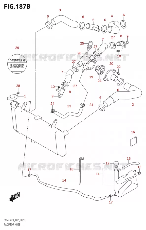 DURITE DE RADIATEUR50AL9 E19) Suzuki MOTO 650 SV 2019  SV650XA L9 (E02)
