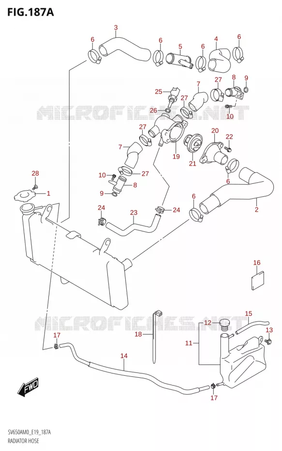 DURITE DE RADIATEUR Suzuki MOTO 650 SV 2020  SV650A (E19)