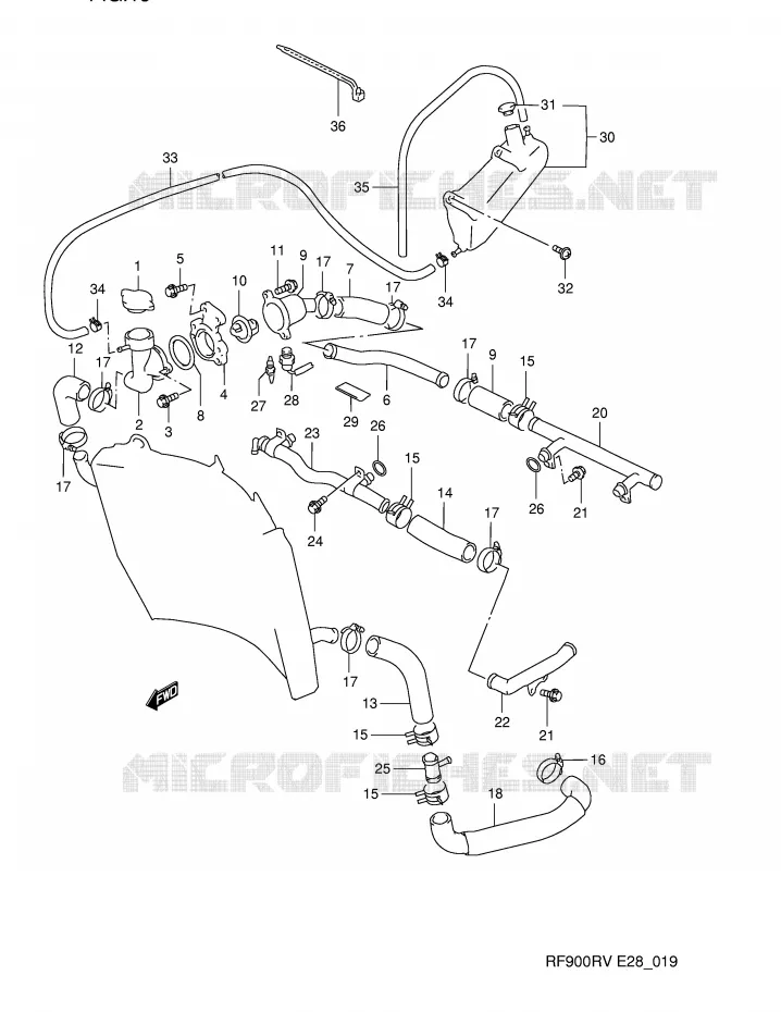 DURITE DE RADIATEUR Suzuki MOTO 900 RF 1996  RF900RT(E28)
