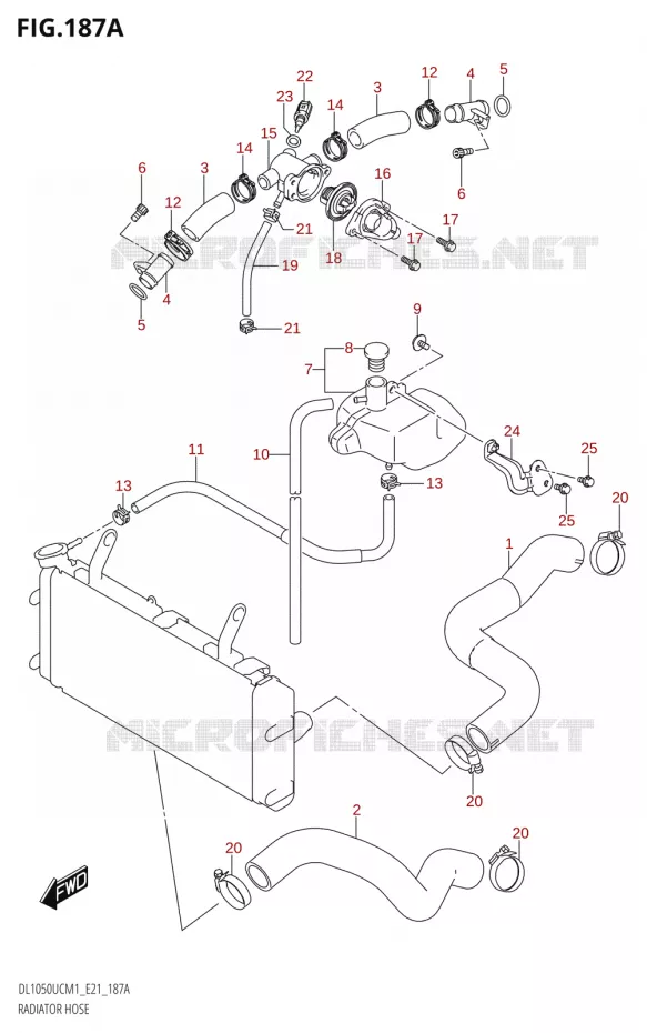 DURITES DE RADIATEUR - VASE D'EXPANSION Suzuki MOTO 1050 V-STROM 2021  DL1050UC  M1