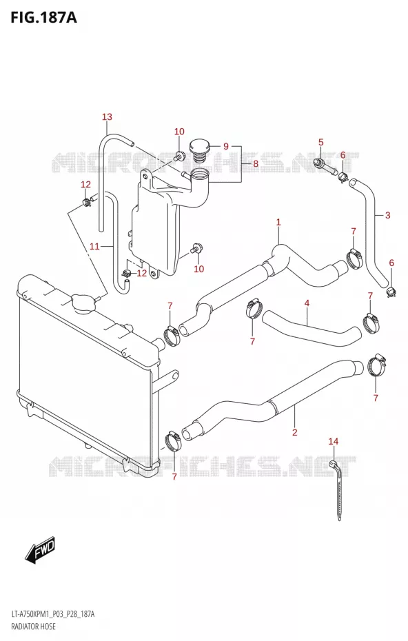DURITES DE RADIATEUR - VASE D'EXPANSION Suzuki QUAD 750 KINGQUAD 2021  LT-A750XP / XPZ M1 (P33)