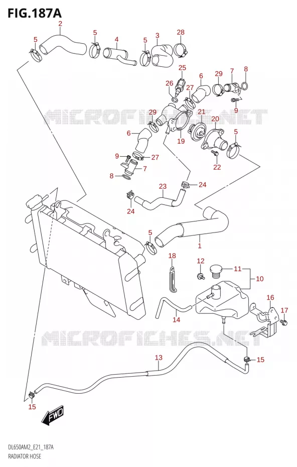 DURITE DE RADIATEUR Suzuki MOTO 650 V-STROM 2022  DL650XA M2 (E21)