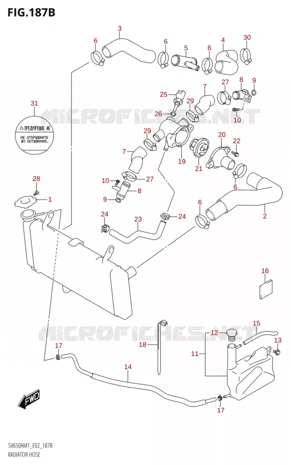 DURITES DE RADIATEUR - VASE D'EXPANSION Suzuki MOTO 650 SV 2021  SV650A M1 (E19)