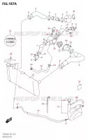 DURITE DE RADIATEUR) pour Suzuki SV 650 2022