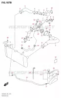 DURITE DE RADIATEUR) pour Suzuki SV 650 2022