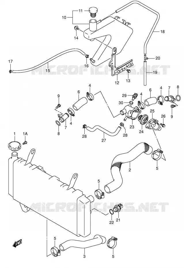 DURITE DE RADIATEUR Suzuki MOTO 1000 SV 2004  SV1000S2K4(E2)