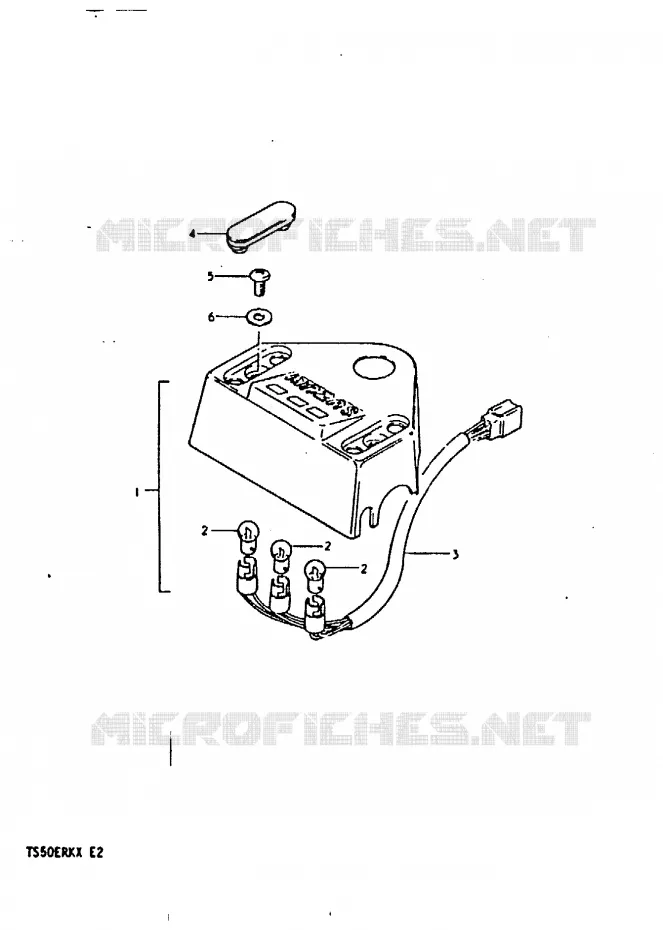 TEMOINS Suzuki MOTO 50 TS-ER 1981  TS50ERKX(T/X)