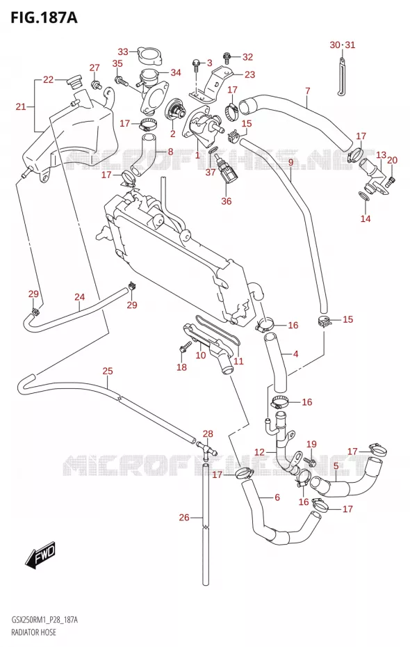 DURITES DE RADIATEUR - VASE D'EXPANSION Suzuki MOTO 250 GSX-R 2021  GSX250R M1 (P28)