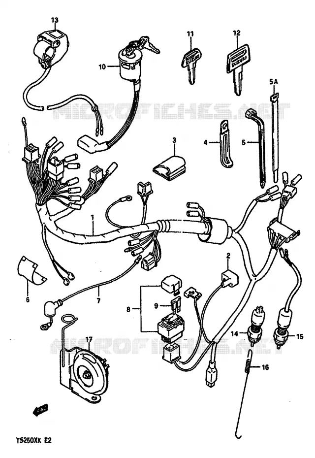 FAISCEAU ELECTRIQUE Suzuki MOTO 250 TS-X 1987  TS250XH(E/G/H/J/K)