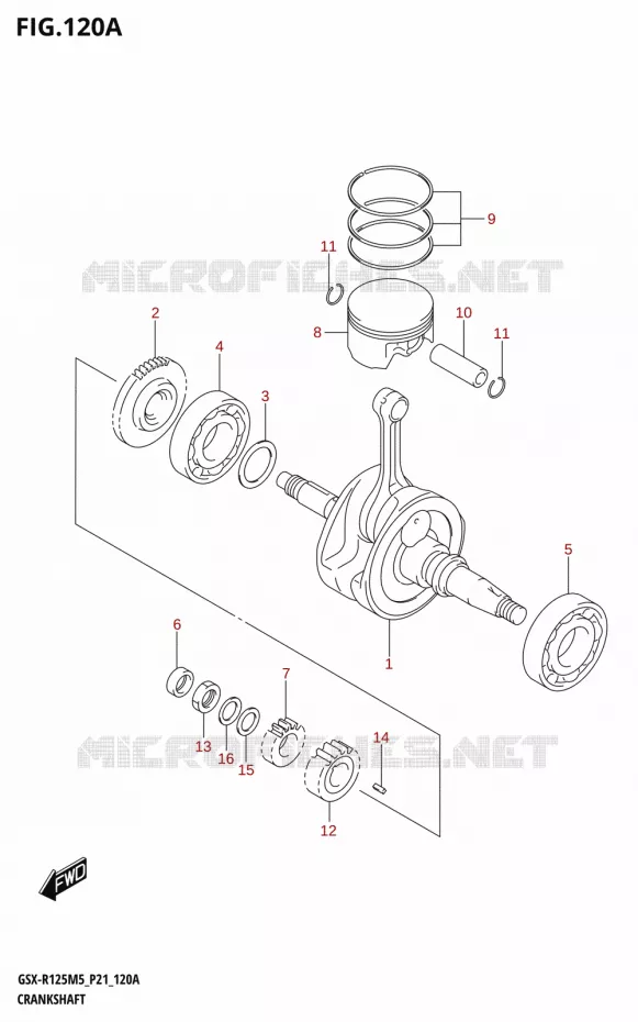 VILEBREQUIN Suzuki MOTO 125 GSX-R 2025  GSX-R125RL 2025 M5 (P21)