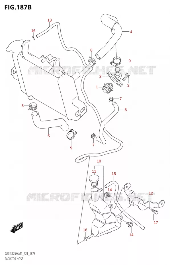 DURITES DE RADIATEUR - VASE D'EXPANSION Suzuki MOTO 125 GSX-S 2021  GSX-S125XA M1 (P21)