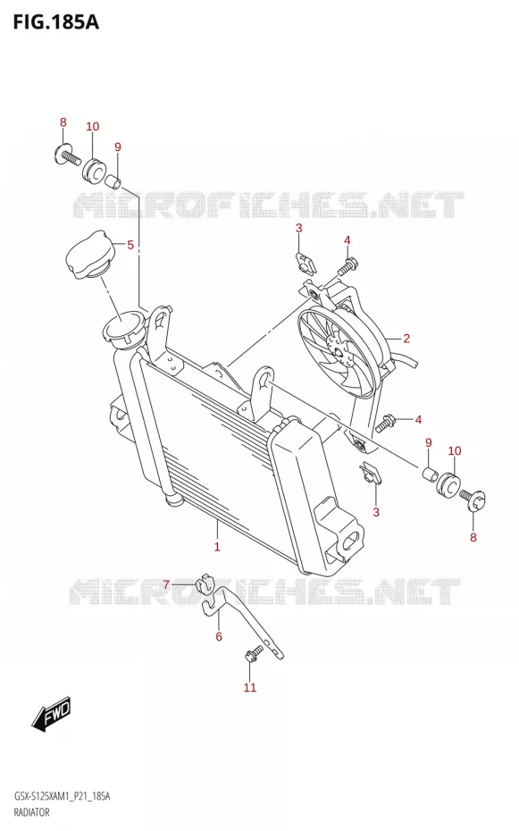 RADIATEUR Suzuki MOTO 125 GSX-S 2021  GSX-S125XA M1 (P21)