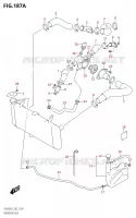 DURITES DE RADIATEUR   VASE D'EXPANSION pour Suzuki SV 650 2017