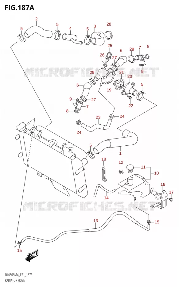 DURITES DE RADIATEUR - VASE D'EXPANSION Suzuki MOTO 650 V-STROM 2024  DL650AM4