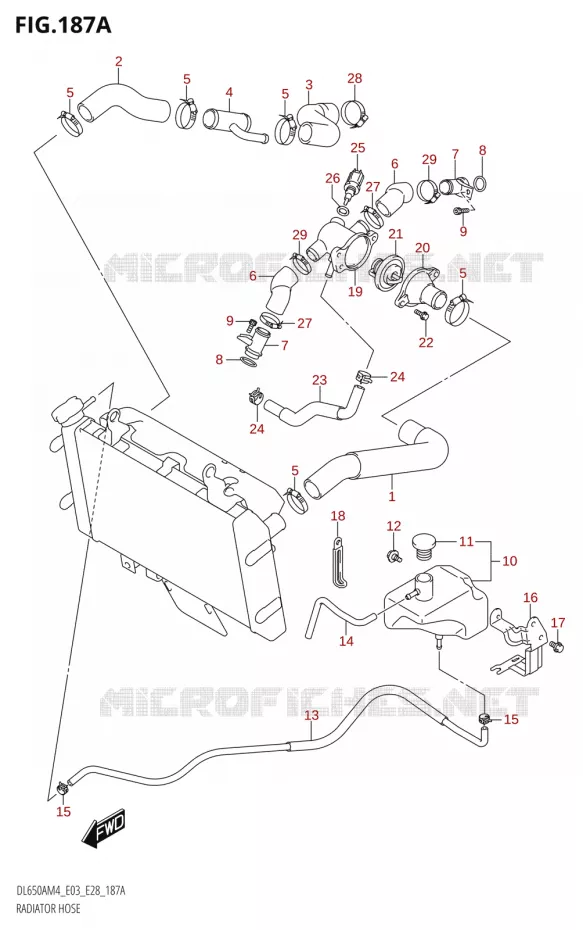 DURITES DE RADIATEUR - VASE D'EXPANSION Suzuki MOTO 650 V-STROM 2024  DL650AM4