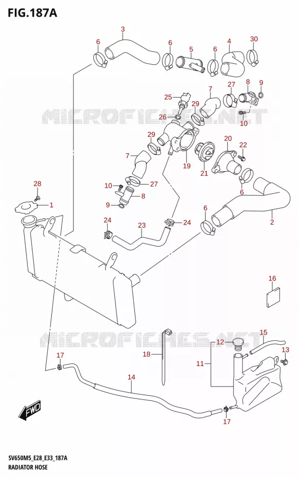 DURITES DE RADIATEUR - VASE D'EXPANSION Suzuki MOTO 650 SV 2025  SV650A 2025 M5 (E28)