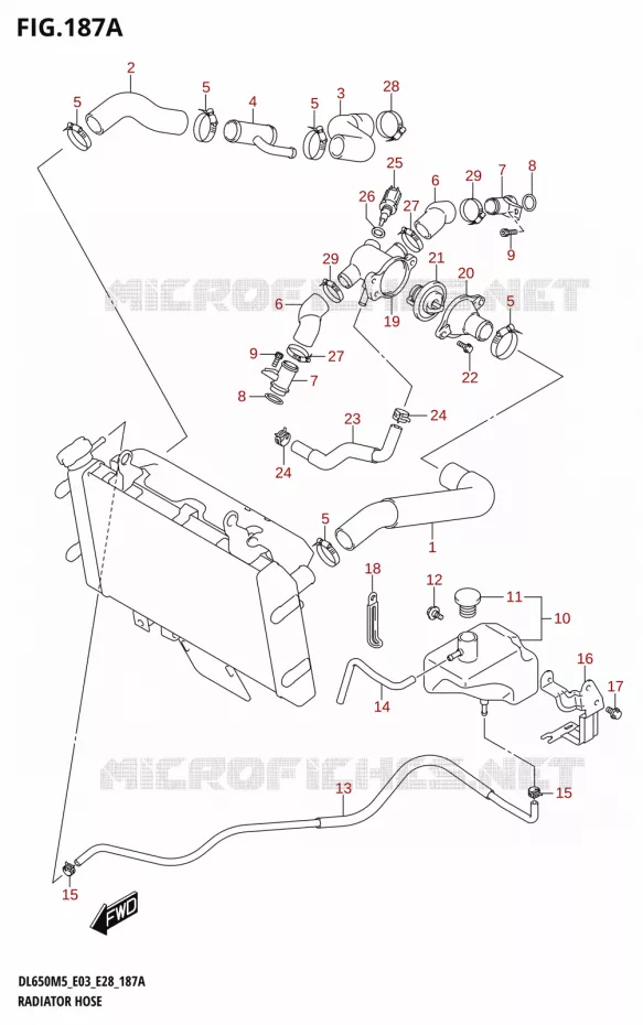 DURITES DE RADIATEUR - VASE D'EXPANSION Suzuki MOTO 650 V-STROM 2025  DL650A 2025 M5 (E28)