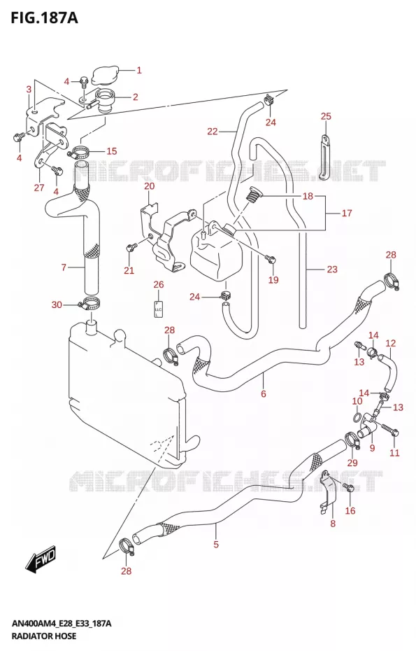 DURITES DE RADIATEUR - VASE D'EXPANSION Suzuki SCOOTER 400 BURGMAN 2024  AN400A 2024 M4 (E28)