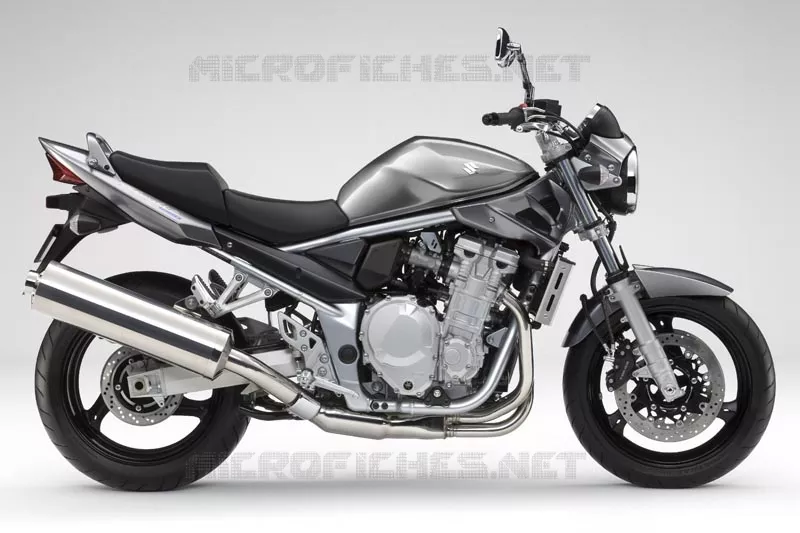 * PHOTOGRAPHIE DE COULEUR GSF1250K9 * Suzuki MOTO 1250 BANDIT-S 2009  GSF1250SK9(E2)