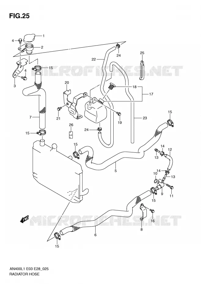 DURITE DE RADIATEUR Suzuki SCOOTER 400 BURGMAN 2011  AN400ZAL1(E3/E28)