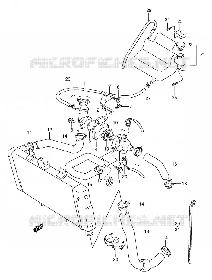 DURITE DE RADIATEUR Suzuki MOTO 250 BANDIT 2000  GSF250VY(E24)