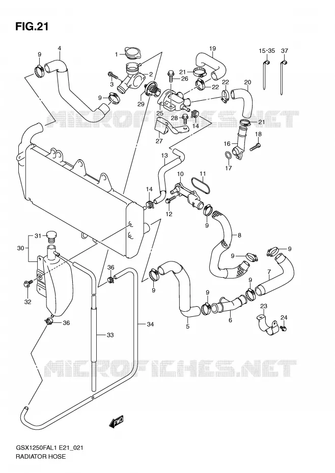 DURITE DE RADIATEUR Suzuki MOTO 1250 GSX-F 2011  GSX1250FAL1(E21)