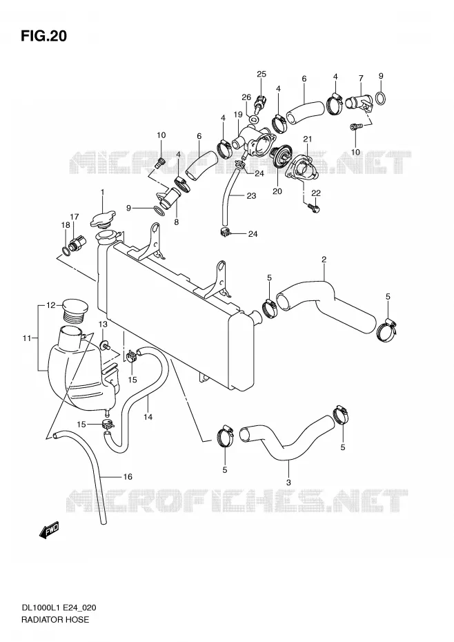 DURITE DE RADIATEUR Suzuki MOTO 1000 V-STROM 2011  DL1000L1(E24)