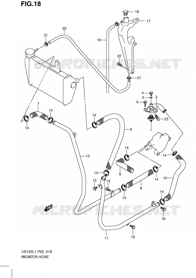 DURITE DE RADIATEUR Suzuki SCOOTER 125 SIXTEEN 2011  UX125L1(P02)