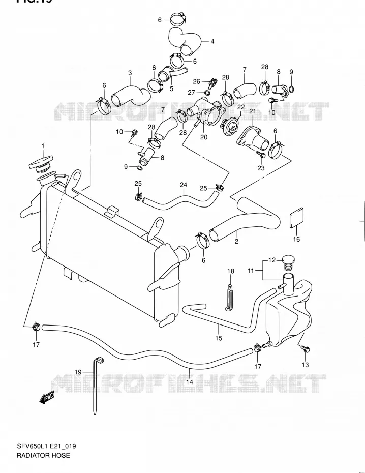 DURITE DE RADIATEUR Suzuki MOTO 650 GLADIUS 2011  SFV650UL1(E24)