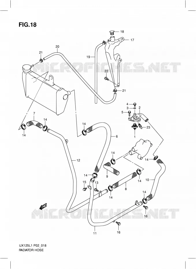 DURITE DE RADIATEUR Suzuki SCOOTER 125 SIXTEEN 2011  UX125L1(P19)